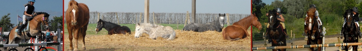 La Chaumière aux Poneys